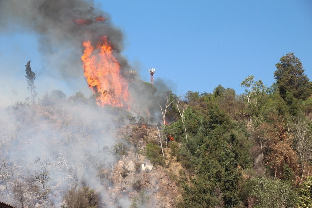 SE DECLARA ALERTA TEMPRANA PREVENTIVA REGIONAL POR ALTAS TEMPERATURAS Y RIESGOS DE INCENDIOS FORESTALES